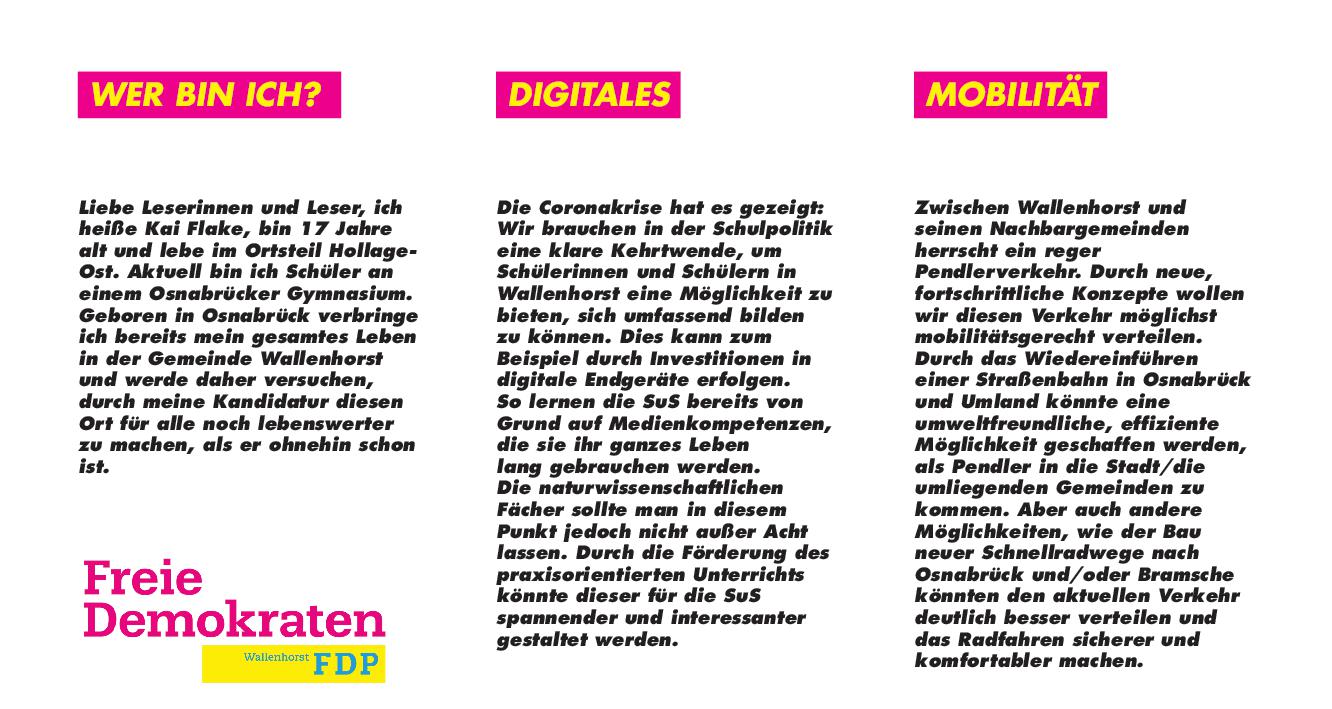 Flake Rückseite