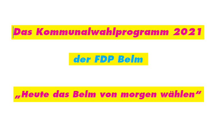 Cover Wahlprogramm