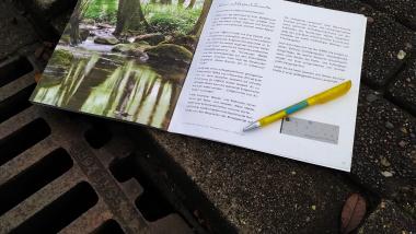 Materialsammlung vor Ort