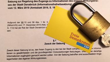 Informationsfreiheitssatzung